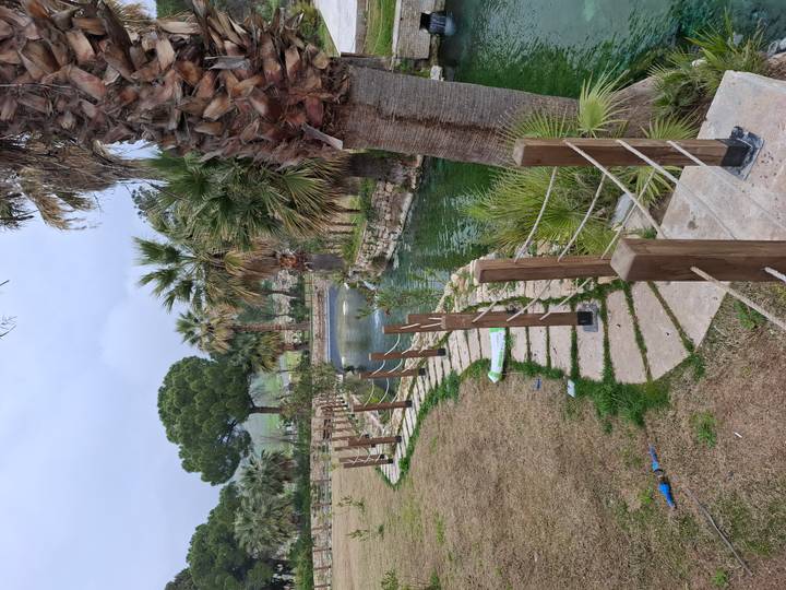 A landscaped path beside a narrow green stream lined with palm trees and wooden posts.