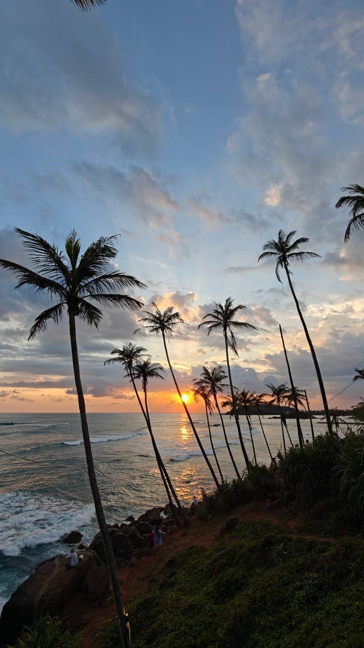 Silhouetted palms frame a vivid orange sunset over the Indian Ocean.