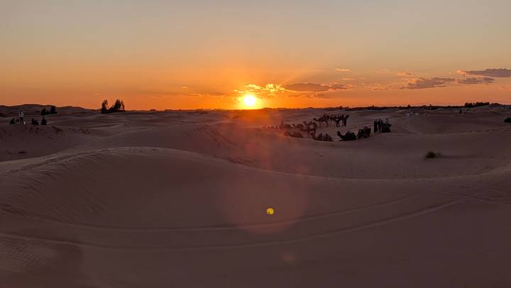 Golden sun setting over vast Sahara dunes with silhouettes of camel caravans
