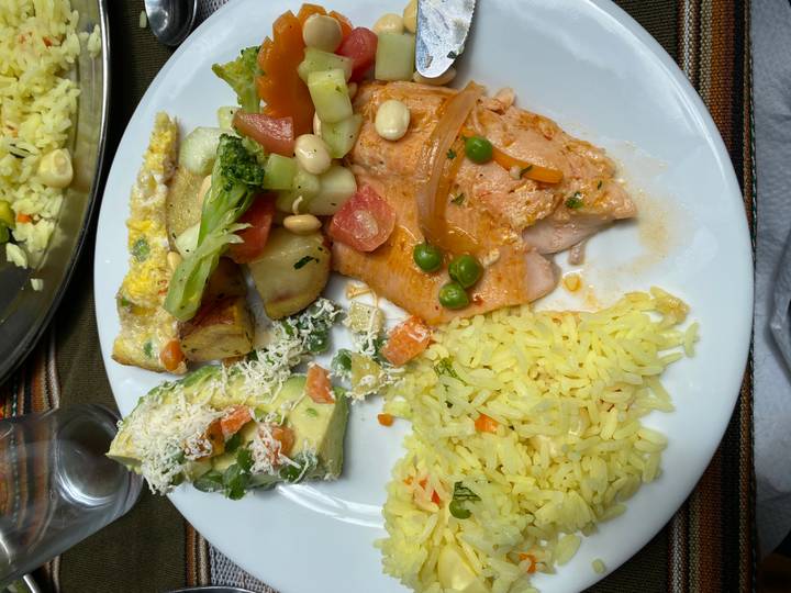 Colourful plated meal featuring rice, fish in tomato sauce, avocado salad and vegetables.