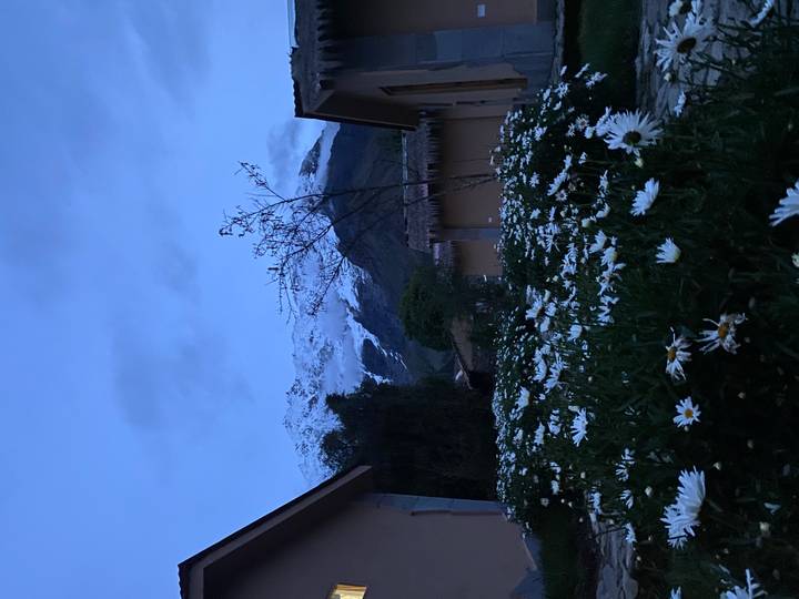 Snow-capped Andean peak rising behind mountain village cottages and a field of white daisies at dawn light.