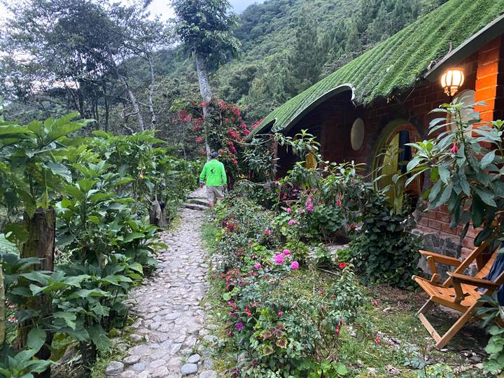 Lush garden path lined with flowers leading to rustic brick and thatch bungalow in the jungle.