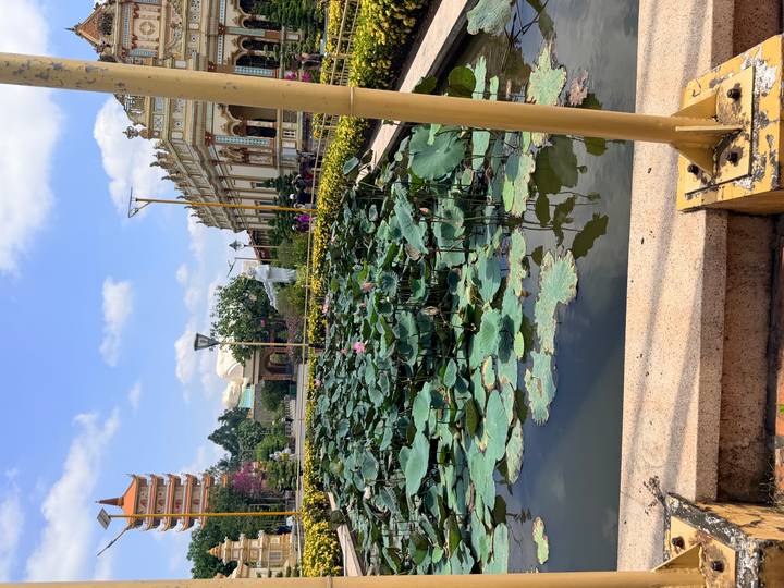 Lotus pond with temple buildings and a white statue beyond under blue sky.