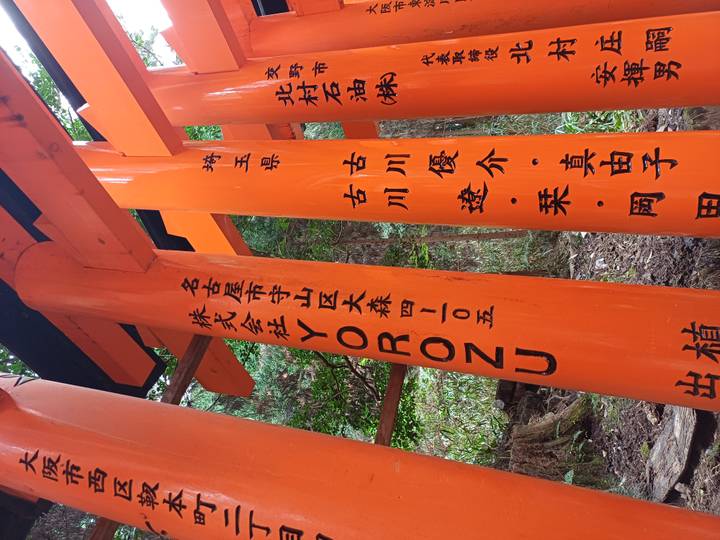 Close-up of orange torii pillar with black kanji characters amid surrounding greenery.