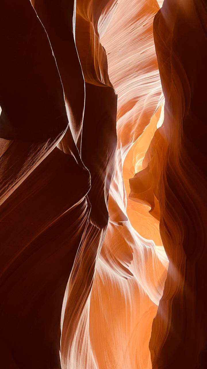Sunlit orange sandstone walls and dramatic textures within the slot canyon.