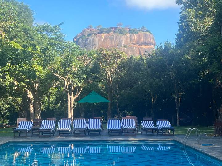 Striped pool loungers face a small pool with Sigiriya Rock rising behind trees.