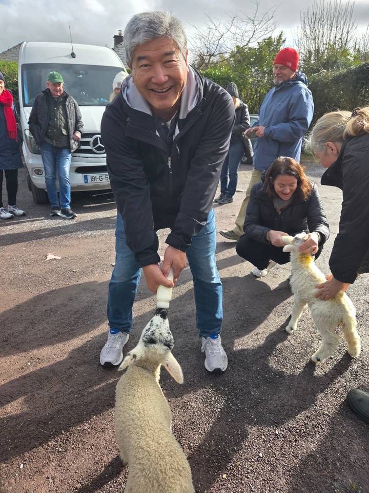 Travelers bottle-feed lambs beside a parked van on a gravel lot.