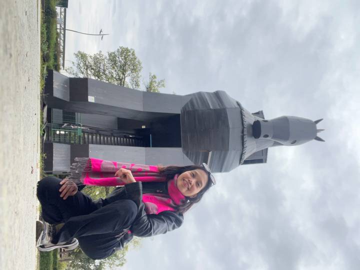 Traveler posing before the large wooden Trojan Horse replica at the ancient city of Troy.