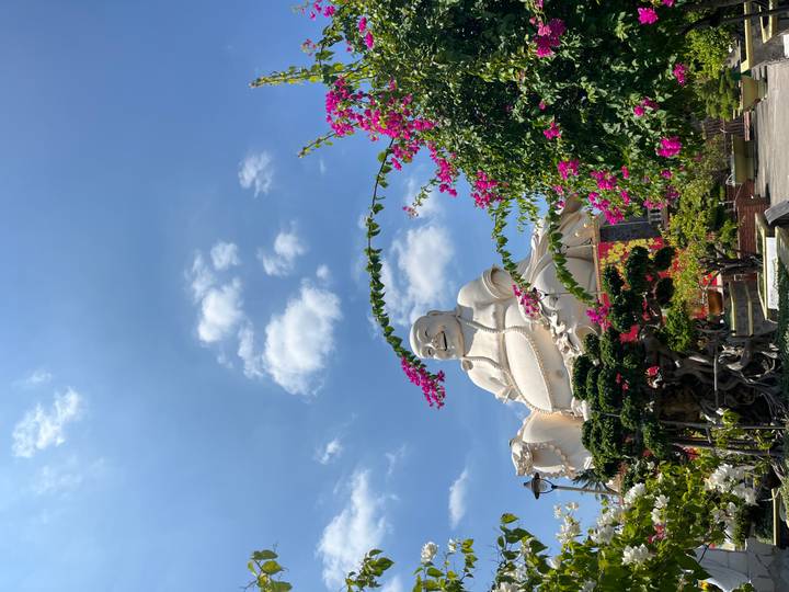 Large white laughing Buddha statue rises above blooming bougainvillea and bonsai trees under a bright blue sky in the Mekong Delta.