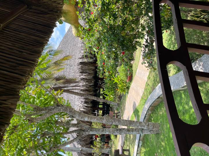 Lush tropical garden with thatched pavilion, palm trees and flowering shrubs viewed from a shaded veranda.