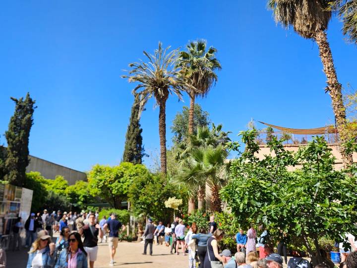 Lush courtyard with tall palm trees and groups of visitors exploring under a bright blue sky.