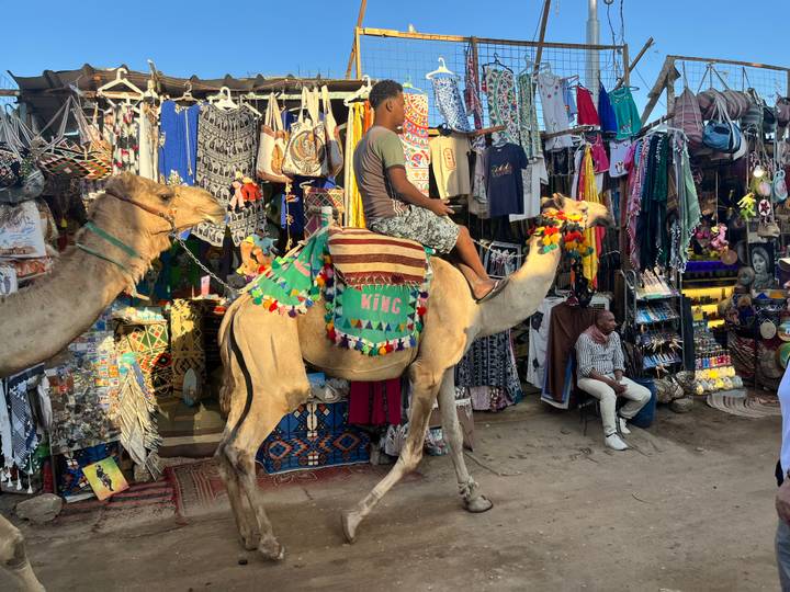Camel rider passes colourful market stalls packed with textiles and souvenirs in Aswan bazaar.