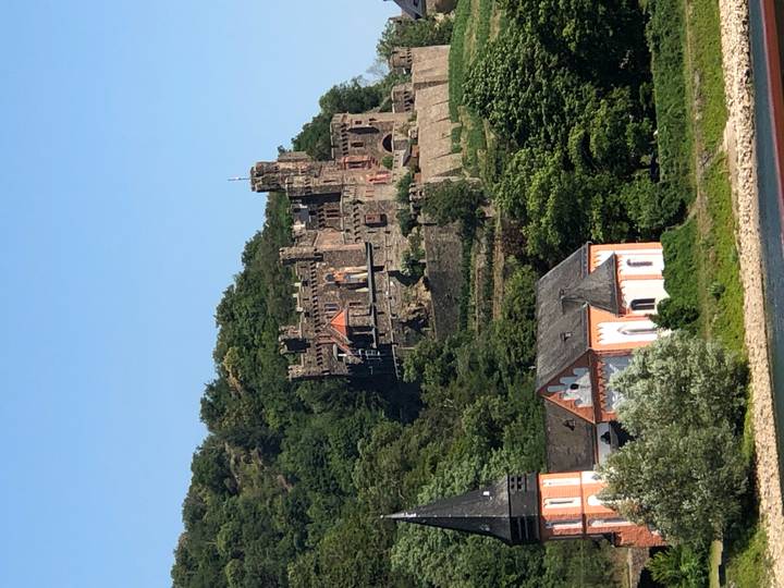 Tall riverside castle perched on a forested hill above half-timbered houses.
