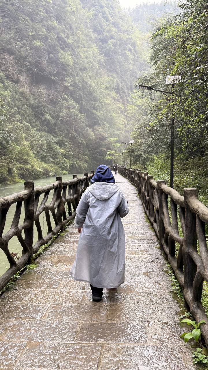 Traveller in raincoat walks along a rustic wooden bridge beside a green river in a damp forest.