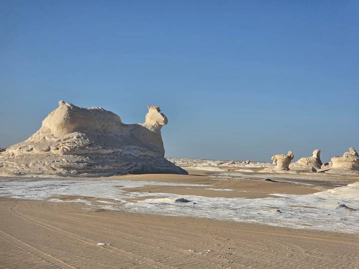Striking white chalk formations resemble animals in Egypt's White Desert.