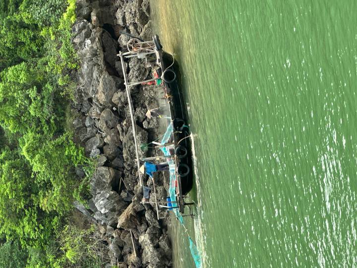 Small local fishing boat with one person working nets near rocky shoreline and lush greenery.