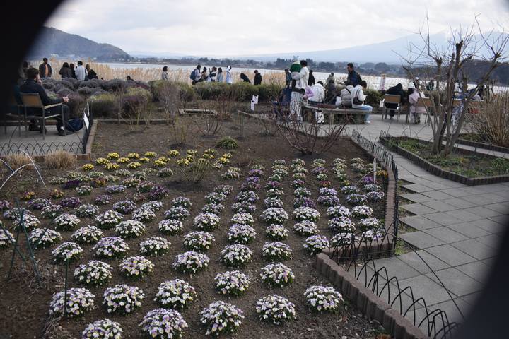 Flower beds and viewpoint overlooking a lake crowded with visitors on a cloudy day.
