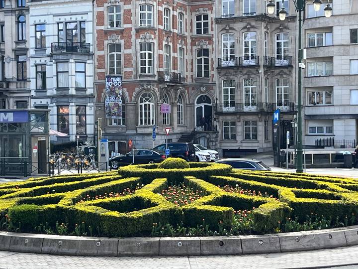 Geometric flowerbed and trimmed hedges adorn a city square lined with ornate European townhouses.