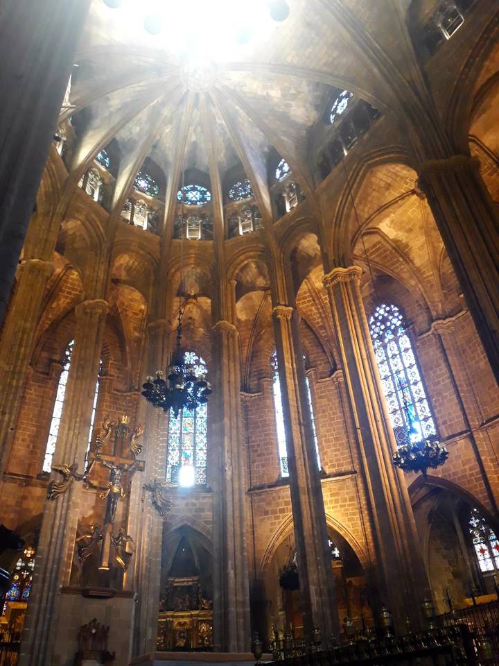 Sunlit stained-glass windows and soaring columns inside a Gothic cathedral.