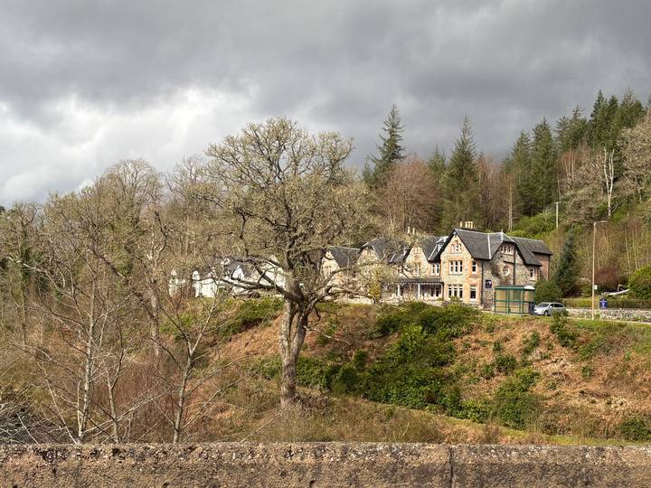 Stone country house and bus stop nestle among bare oaks and evergreens under grey skies.