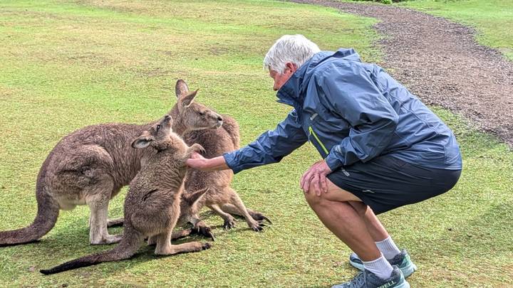 Visitor kneels to hand-feed curious kangaroos on grassy ground.