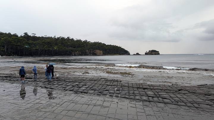 Visitors walking across tessellated rock pavement on a grey coastal day with forested headland behind.
