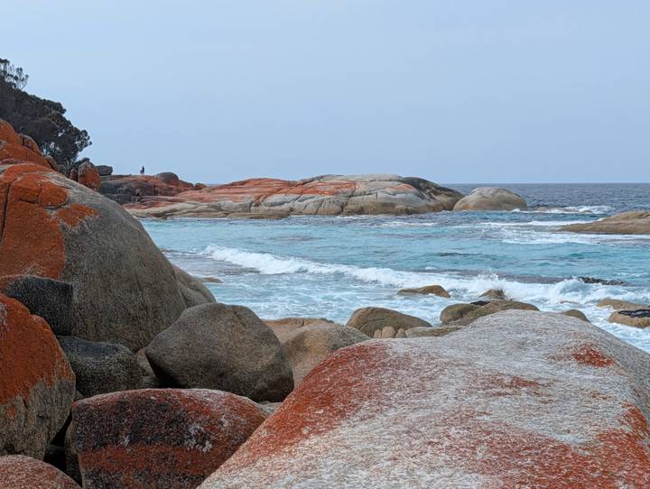 Turquoise waves crashing onto vivid orange lichen-covered granite boulders on Tasmanian coast.