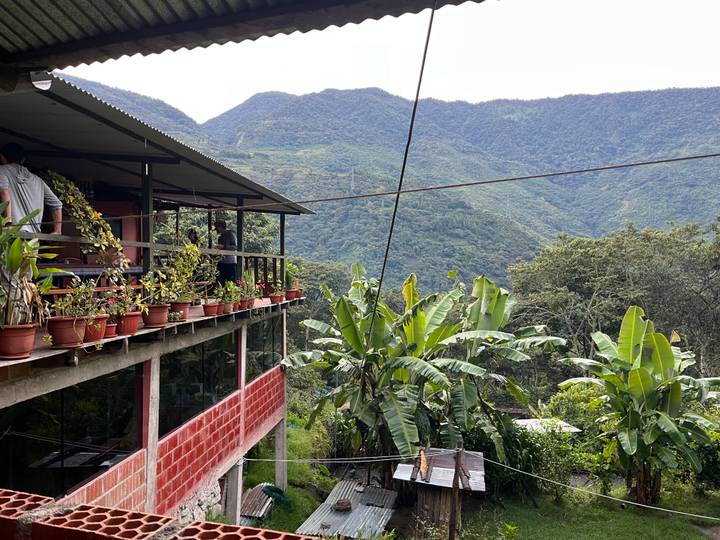 Terraced cafe balcony with rows of potted plants overlooking lush jungle valley.