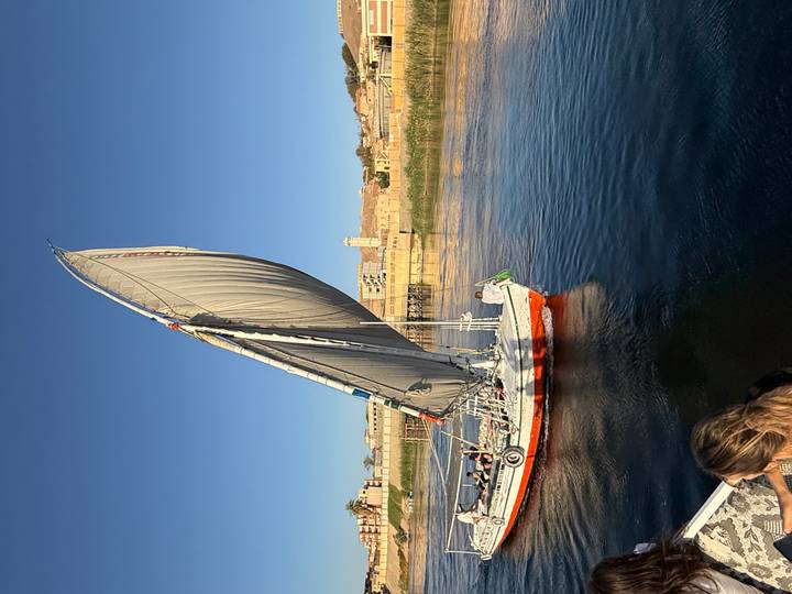 Traditional felucca sailboat with billowing gray sail cruises the Nile at sunset light.
