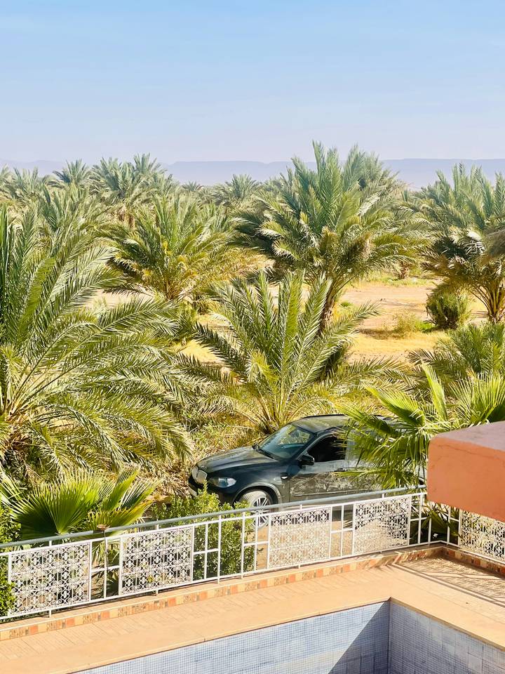 View over dense date palms to a partially hidden vehicle in a sunny desert oasis.