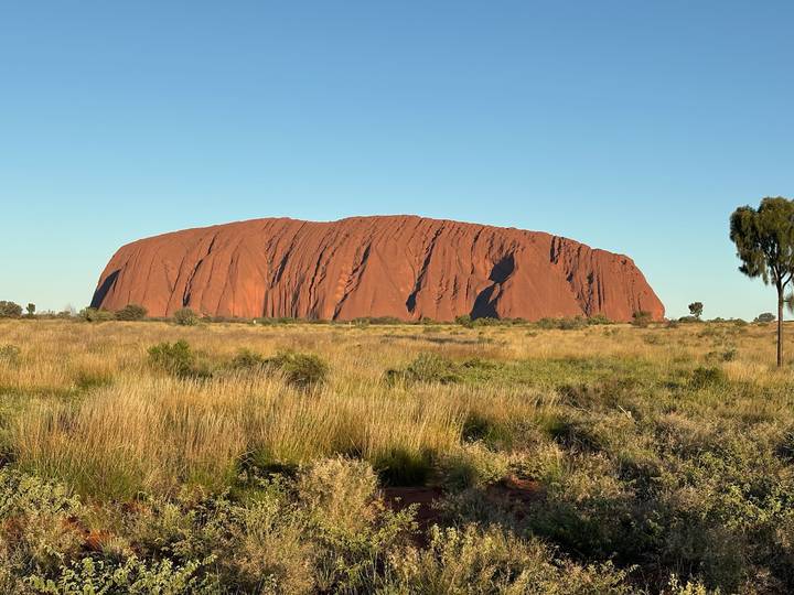 Uluru, the massive red sandstone monolith, rising above dry grassland under a clear blue sky