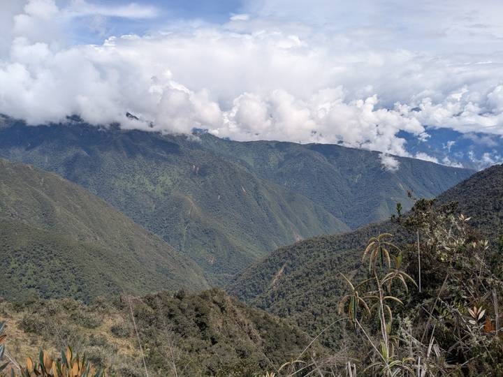 Wide Andean valley carpeted in dense forest beneath dramatic clouds.