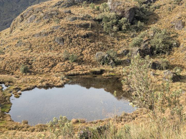 Small reflective pond surrounded by dry alpine grass and scattered rocks.