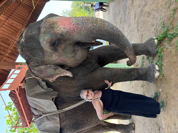 Traveler touching a painted Asian elephant inside a rustic shelter.