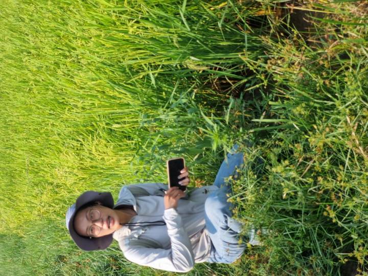 A guide kneels in a lush rice paddy holding a smartphone while explaining the crop.