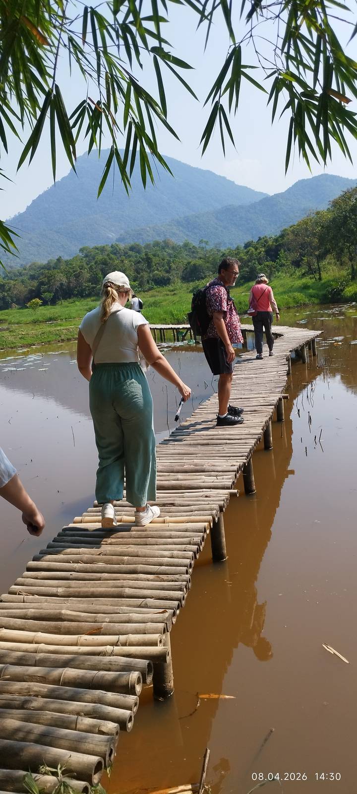 Travellers walking across a narrow wooden footbridge over a lotus pond