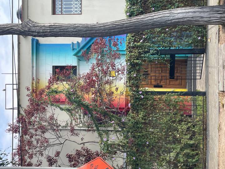 House façade painted in a rainbow gradient partially covered by vines behind a metal gate