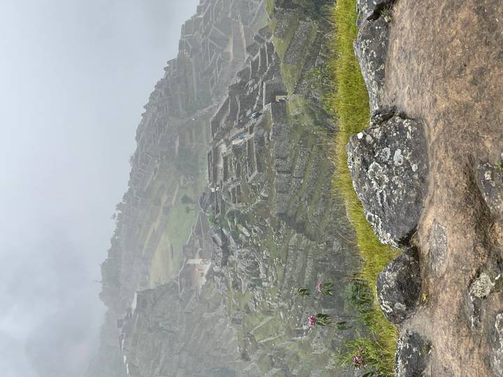 Foggy panoramic view of Machu Picchu terraces and stone ruins clinging to a misty mountainside