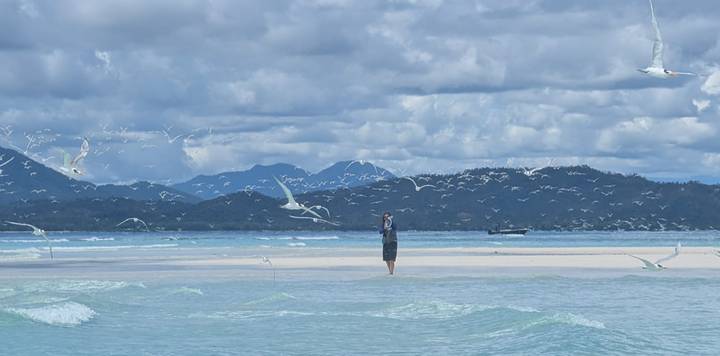Lone traveler stands on a sandbar surrounded by turquoise sea, seabirds, and distant islands.