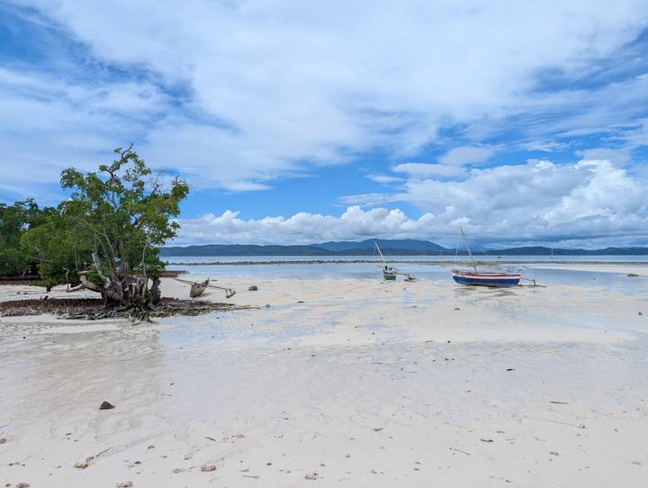 Serene white-sand flat with small sailboats, mangrove tree, and mountain backdrop under bright sky.