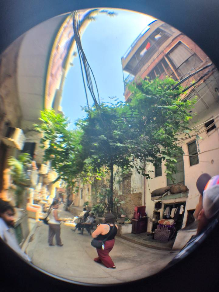 Narrow alley with tangled overhead wires and leafy branches filtering bright sunlight.