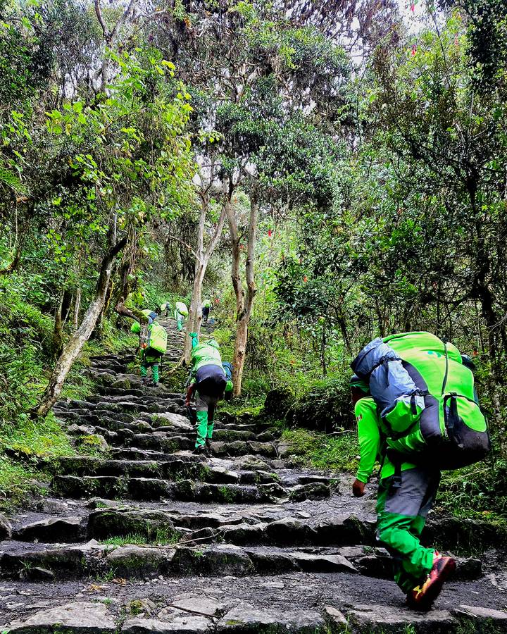 Porters in bright green uniforms climbing steep jungle steps on the Inca Trail