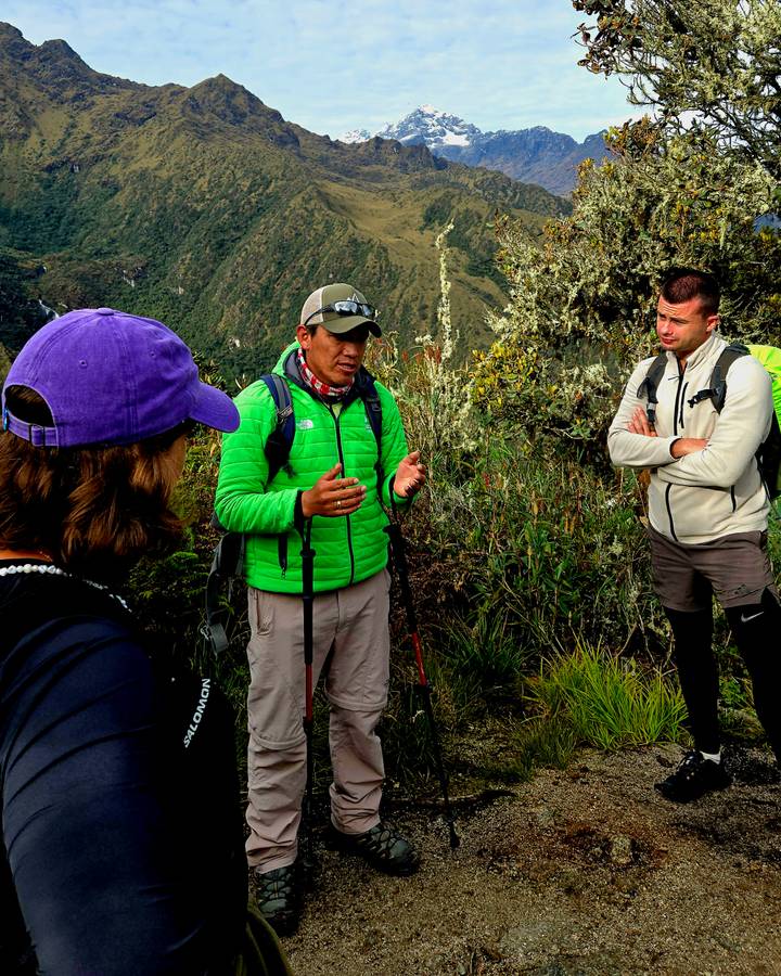 Guide explaining flora to trekkers on a grassy slope of the Andes