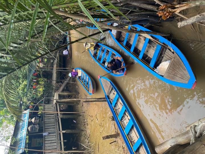 Blue wooden sampan boats float in narrow muddy canal shaded by palms in the Mekong Delta.