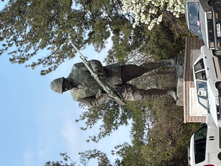Bronze World War I era soldier statue holding rifle amid pine trees