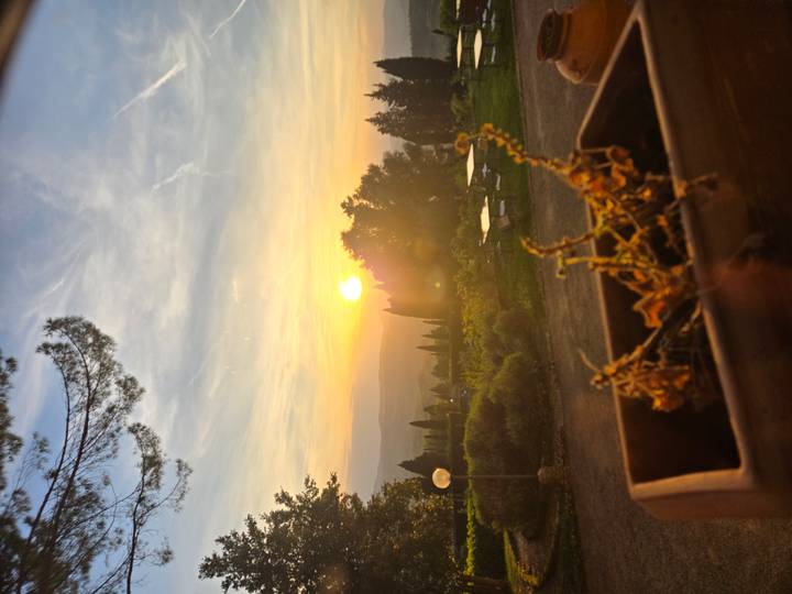 Warm sunset over rolling Tuscan hills with cypress trees, seen from a garden terrace with a planter in the foreground