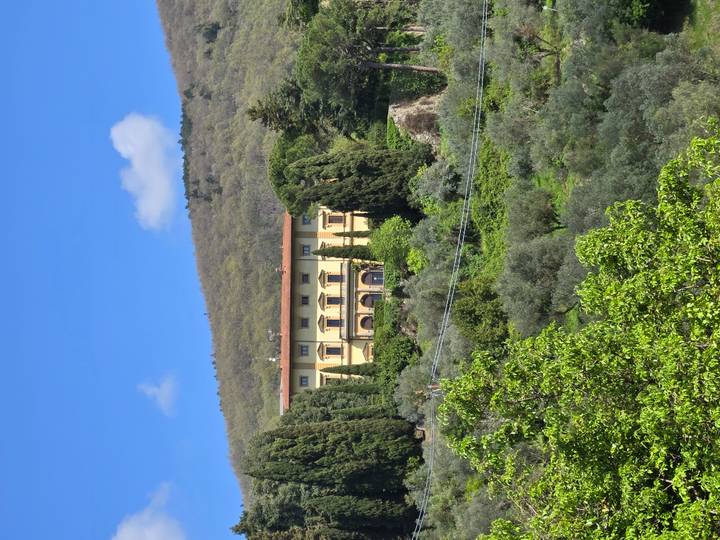 Elegant yellow villa nestled among cypress and olive trees on a hillside under a clear blue sky