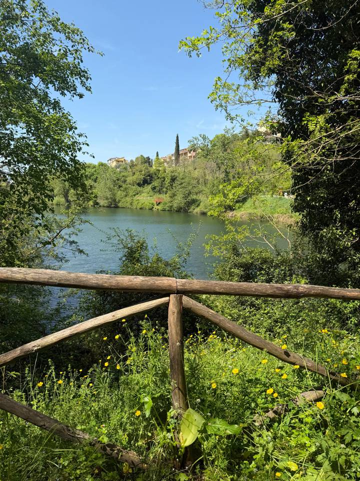 Serene lake bordered by lush trees, viewed over a rustic wooden railing