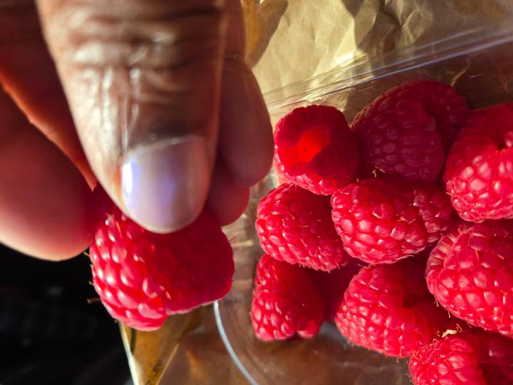 Hand picking fresh raspberries from a plastic punnet in bright light