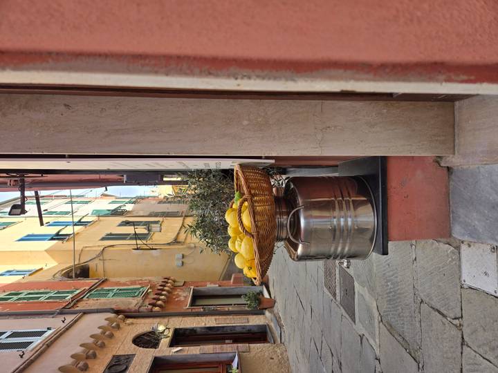 Narrow alley with basket of lemons balanced on a metal drum against colorful walls